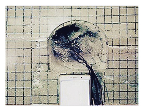 Details are in the caption following the image Details are in the caption following the image