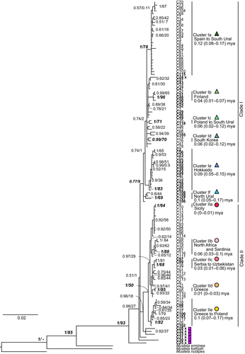 Details are in the caption following the image Details are in the caption following the image
