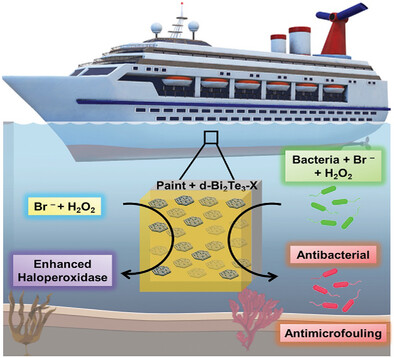 Defect Engineered Bi2Te3 Nanosheets with Enhanced Haloperoxidase Activity for Marine Antibiofouling