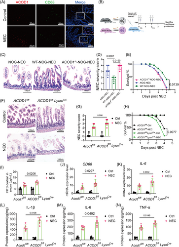Details are in the caption following the image Details are in the caption following the image