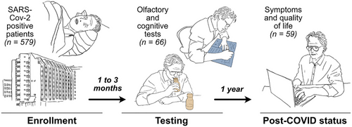 Details are in the caption following the image