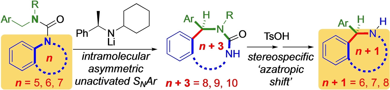 Benzo-fused Nitrogen Heterocycles by Asymmetric Ring Expansion and Stereochemically Retentive Re-contraction of Cyclic Ureas