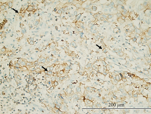 Details are in the caption following the image