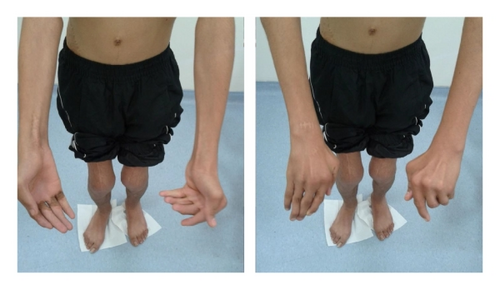 Details are in the caption following the image Details are in the caption following the image
