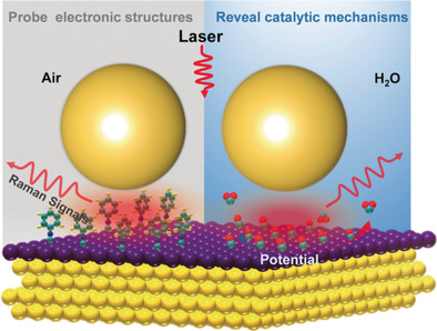 Probing Interfacial Electronic and Catalytic Properties on Well-Defined Surfaces by Using In Situ Raman Spectroscopy
