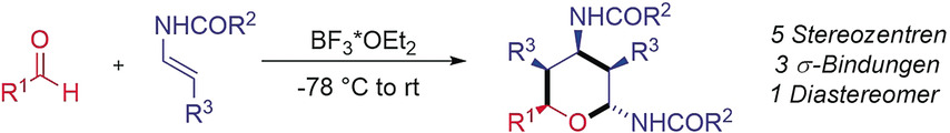 An Enamide-Based Domino Reaction for a Highly Stereoselective Synthesis of Tetrahydropyrans