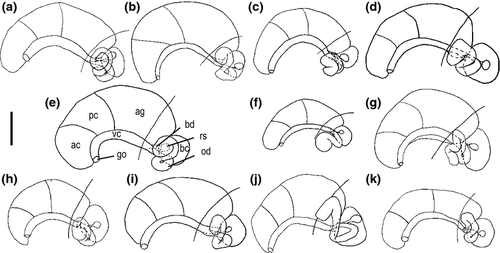 Details are in the caption following the image Details are in the caption following the image