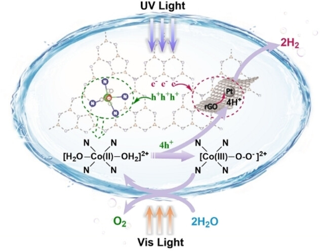 Decoupling H2 and O2 Release in Particulate Photocatalytic Overall Water Splitting Using a Reversible O2 Binder
