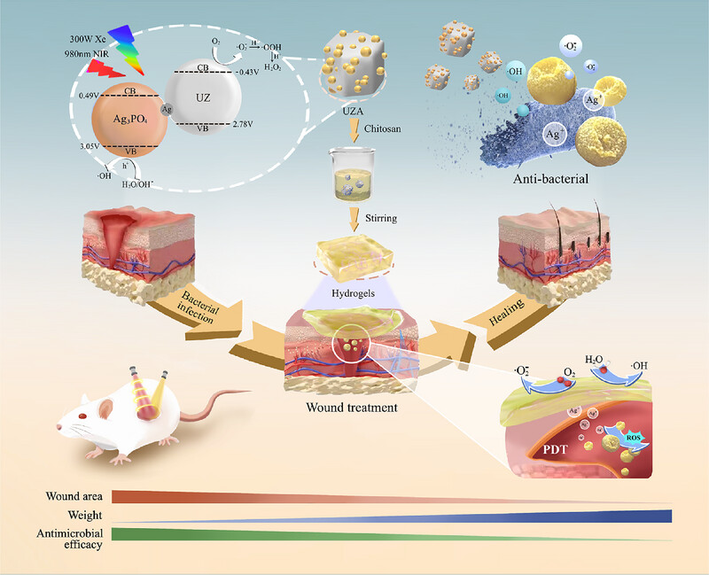 Multifunctional Z-scheme NaGdF4:Yb,Tm@ZnO/Ag3PO4 nanoheterojunction photocatalysts for water purification and antibacterial wound healing