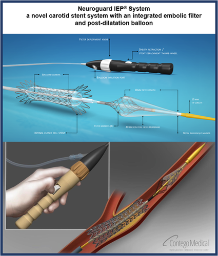 Details are in the caption following the image Details are in the caption following the image
