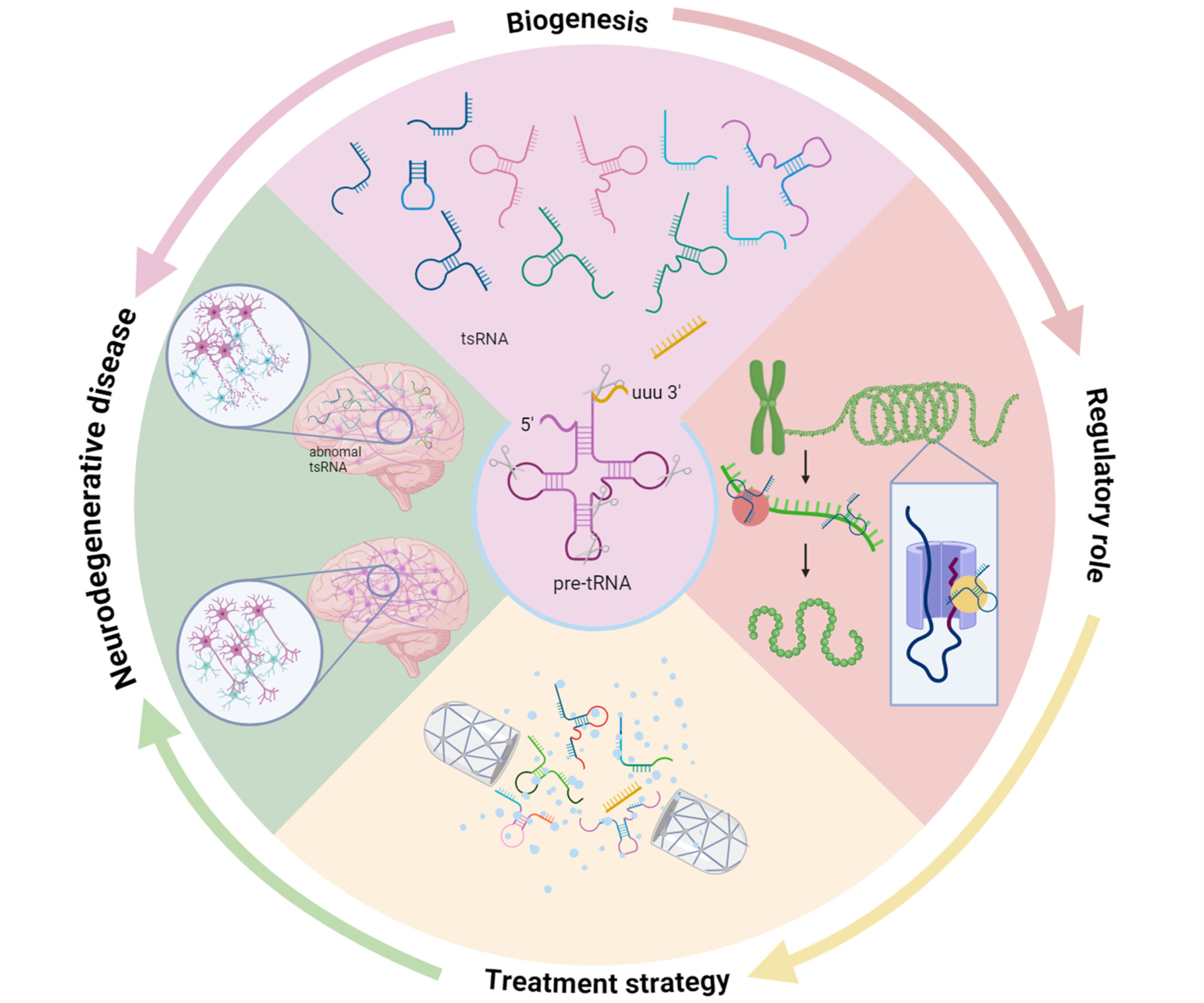 tsRNAs: A Prospective, Effective Therapeutic Intervention for Neurodegenerative Diseases