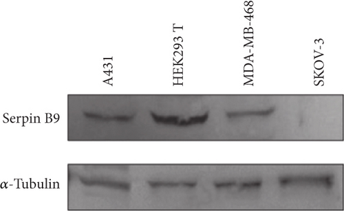 Details are in the caption following the image