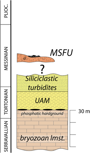 Details are in the caption following the image