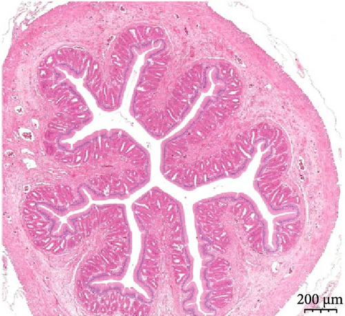 Details are in the caption following the image