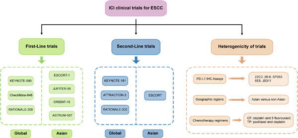 Chemoimmunotherapy for esophageal squamous cell carcinoma—Summary and discussion of recent clinical trials