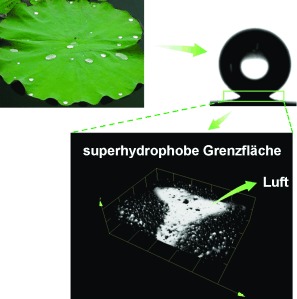 Direct Three-Dimensional Imaging of the Buried Interfaces between Water and Superhydrophobic Surfaces