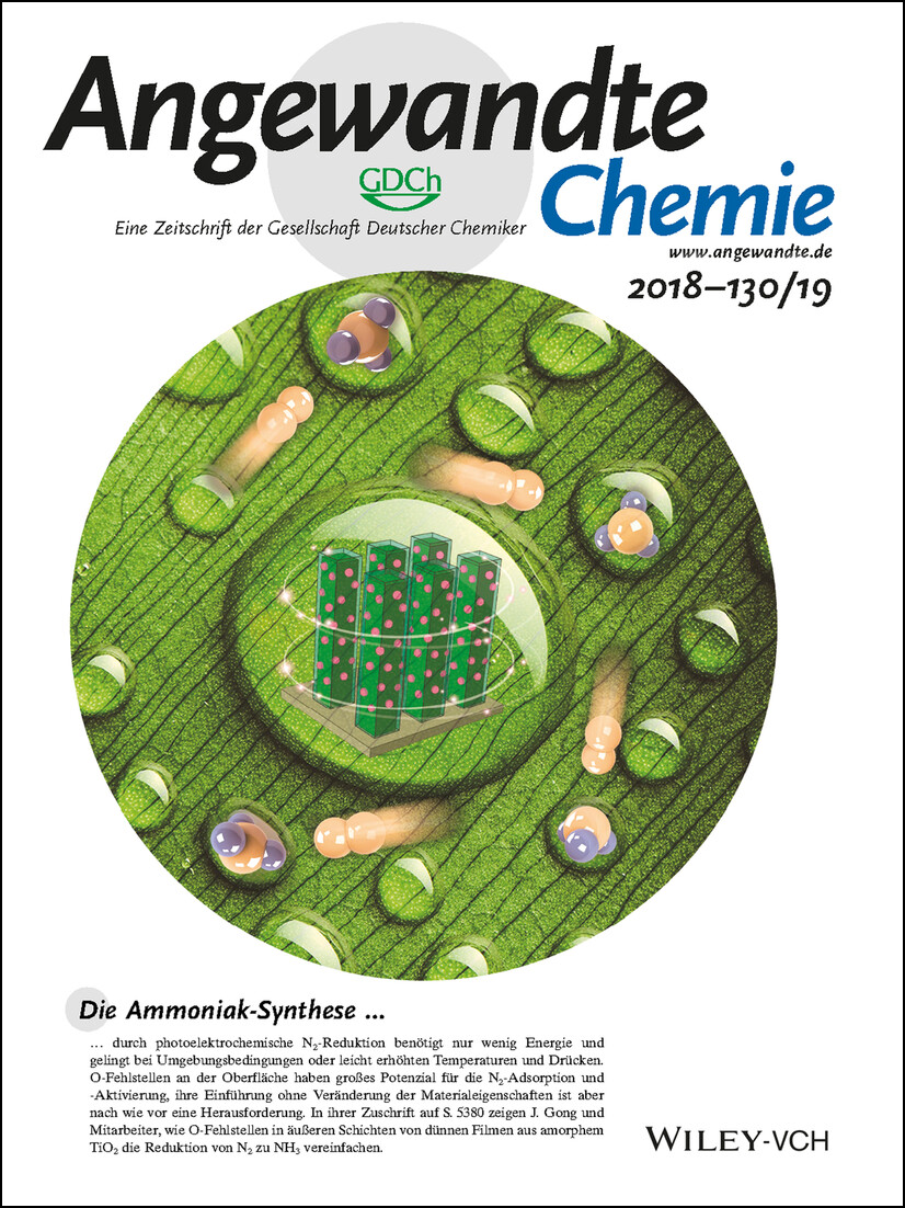 Rücktitelbild: Promoted Fixation of Molecular Nitrogen with Surface Oxygen Vacancies on Plasmon-Enhanced TiO2 Photoelectrodes (Angew. Chem. 19/2018) Volume 130 Issue 19, 2018