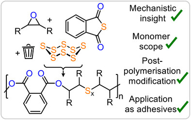 Kinetically Enhanced Access to a Dynamic Polyester Platform via Sequence Selective Terpolymerisation of Elemental Sulphur