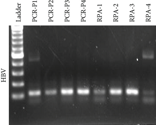 Details are in the caption following the image