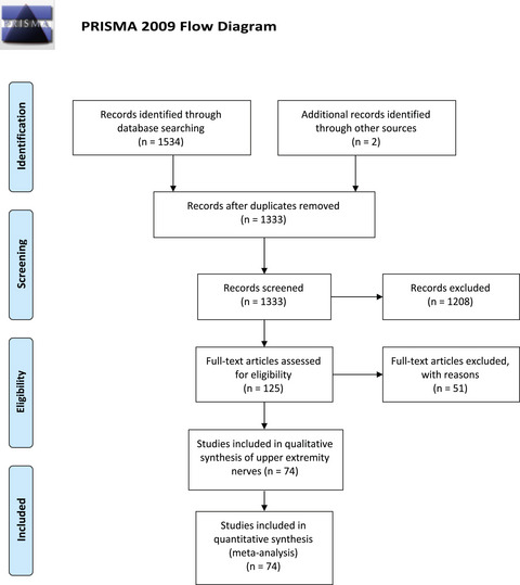 Cross-sectional area reference values for peripheral nerve ultrasound in adults: a systematic review and meta-analysis—Part I: Upper extremity nerves