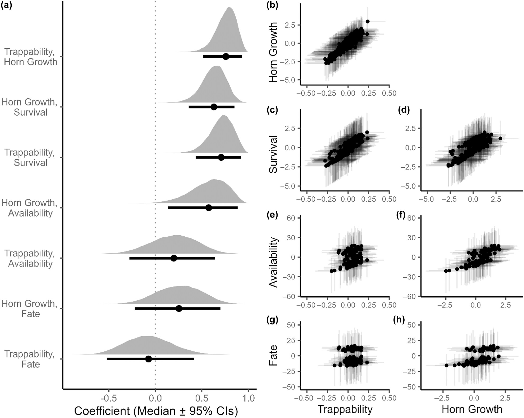 Individual behaviour, growth, survival and vulnerability to hunting in a large mammal