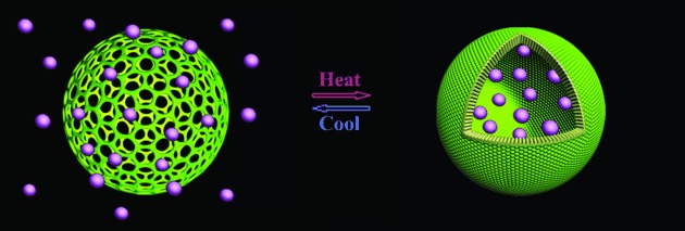 Supramolecular Capsules with Gated Pores from an Amphiphilic Rod Assembly