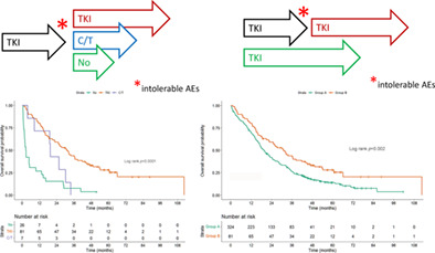 The survival after discontinuation of EGFR-TKIs due to intolerable adverse events in patients with EGFR-mutated non–small cell lung cancer