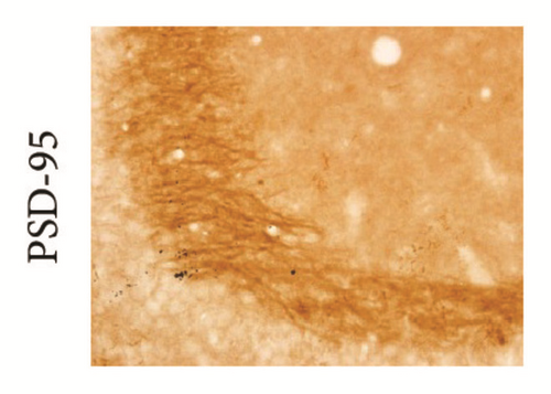 Details are in the caption following the image