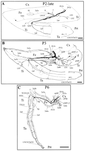 Details are in the caption following the image Details are in the caption following the image