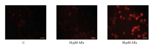Details are in the caption following the image
