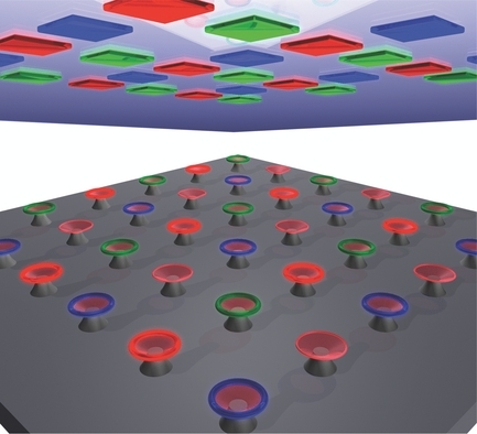 Large-Scale Parallel Surface Functionalization of Goblet-type Whispering Gallery Mode Microcavity Arrays for Biosensing Applications
