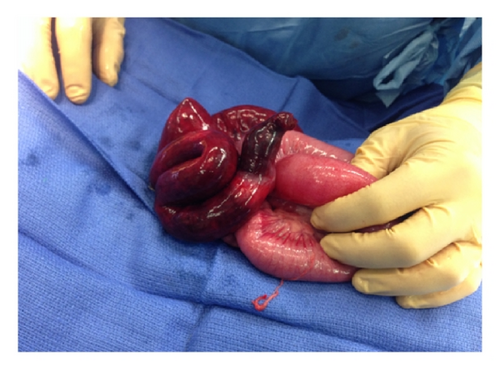 Details are in the caption following the image Details are in the caption following the image