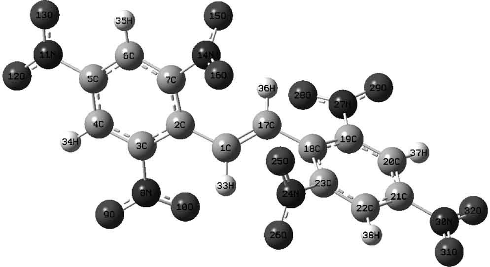 A Theoretical Study on the Vibrational Spectra and Thermodynamic Properties for the Derivatives of HNS