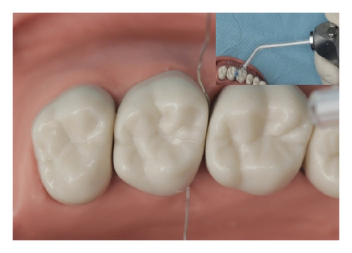 Details are in the caption following the image Details are in the caption following the image