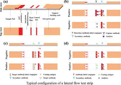 An Overview for the Nanoparticles-Based Quantitative Lateral Flow Assay