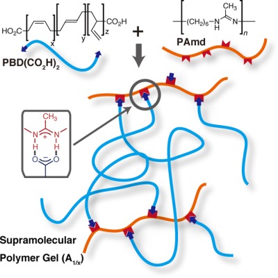 Supramolecular polymer gels formed from carboxy-terminated telechelic polybutadiene and polyamidine through amidinium-carboxylate salt bridge