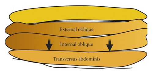 Details are in the caption following the image