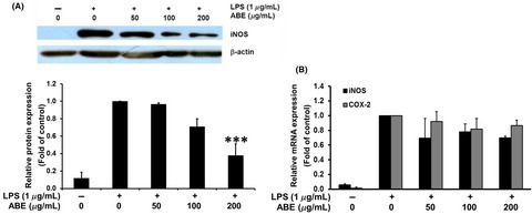 Anti-inflammatory and anti-insulin resistance activities of aqueous extract from Anoectochilus burmannicus