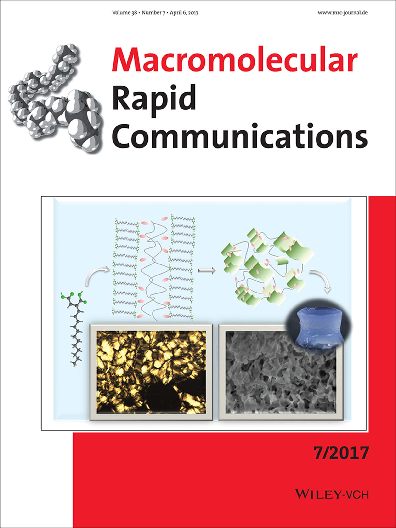 Macromol. Rapid Commun. 7/2017 Volume 38 Issue 7, 2017