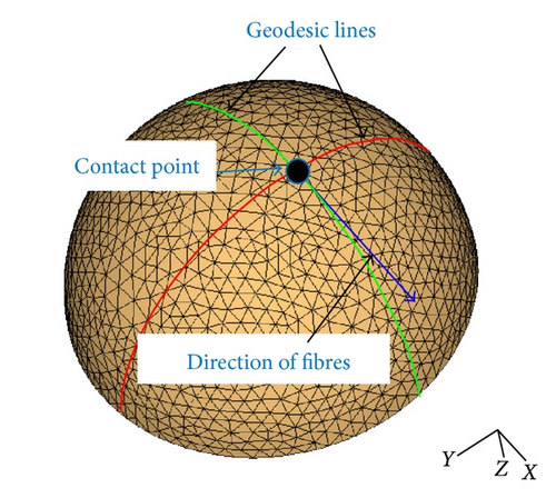Details are in the caption following the image Details are in the caption following the image