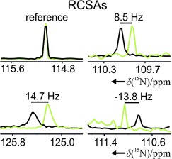 Crosslinked Poly(ethylene oxide) as a Versatile Alignment Medium for the Measurement of Residual Anisotropic NMR Parameters