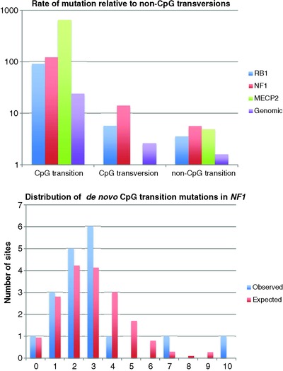 Extensive Variation in the Mutation Rate Between and Within Human Genes Associated with Mendelian Disease