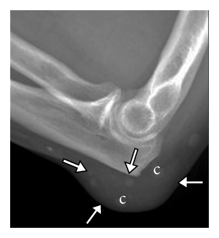 Details are in the caption following the image