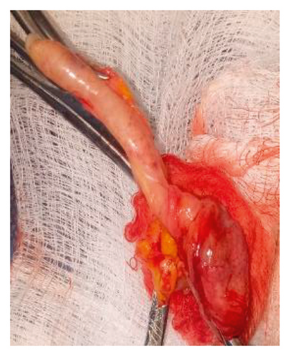 Details are in the caption following the image Details are in the caption following the image