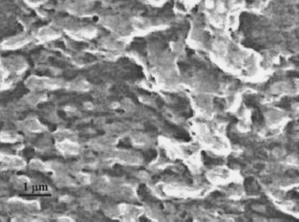 Characterization and degradation behavior of poly(butylene adipate-co-terephthalate)s
