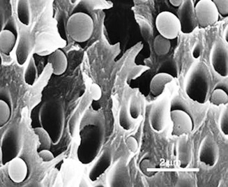 Role of Facilitated Transport Membranes and Composite Membranes for Efficient CO2 Capture – A Review
