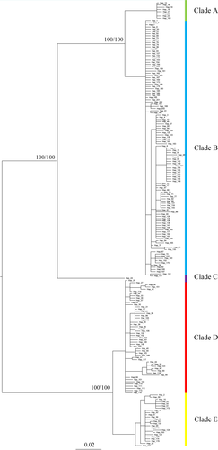 Details are in the caption following the image Details are in the caption following the image
