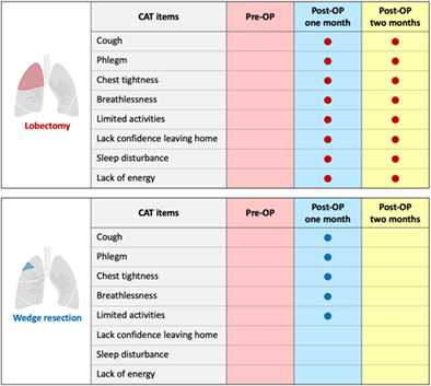 Chronic obstructive pulmonary disease assessment test for the measurement of deterioration and recovery of health status of patients undergoing lung surgery