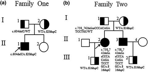 Targeted regions sequencing identified four novel PNPLA1 mutations in two Chinese families with autosomal recessive congenital ichthyosis