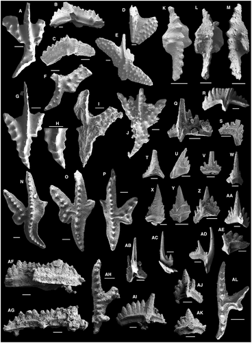 Details are in the caption following the image Details are in the caption following the image
